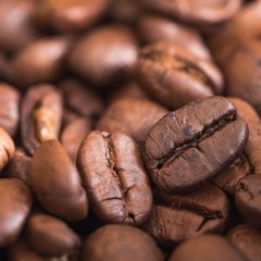 Close-up of roasted coffee beans
