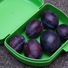 Cooler box packed with fresh fruit