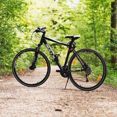Mountain bike on a forest trail
