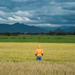 Hiker wearing a yellow rain jacket in a field
