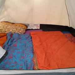Camping tents at a forest campsite