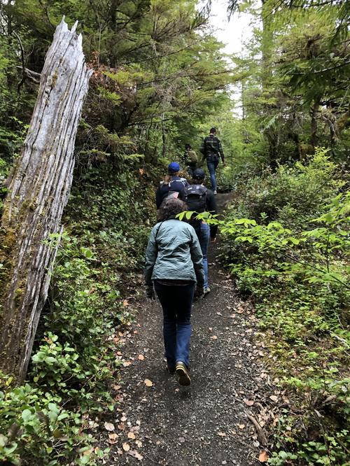 Group hiking a forest trail in Alaska